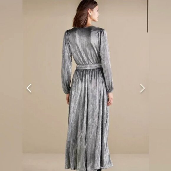 NWT Soft Surroundings Maxi Annabelle Pleated Dress Silver Petite Med (10-12) - Picture 2 of 12